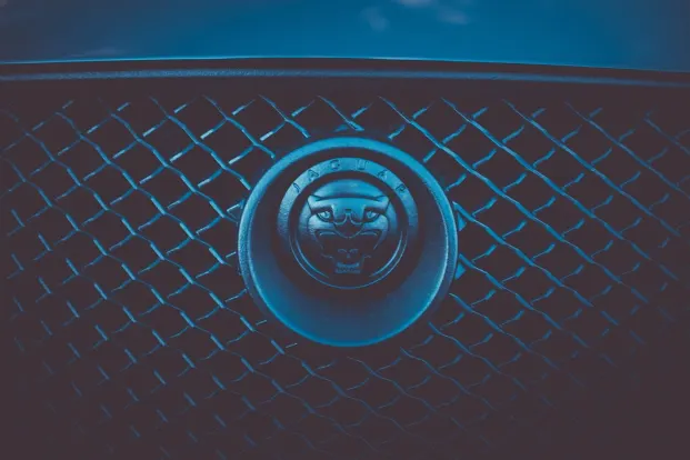 Cleopatra Kaszinó Android/iOS Alkalmazás